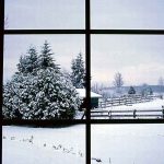 winter depression 150x150 Is Winter coming early this year?